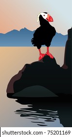 Sea bird on a stone lunda cirrhata