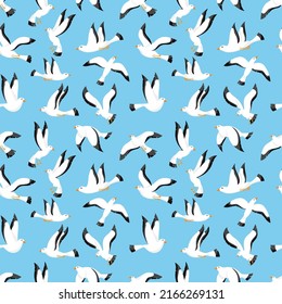 Sea birds seamless pattern. Cute white seagulls fly above ocean on sky. Isolated objects on blue background. Marine print. Seabird in different poses. Decor textile, vector print