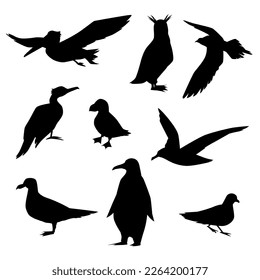 Sea birds silhouettes, flat vector illustration isolated on white background. Black icons set of various animals - penguin, pelican, albatross and seagull. Shadows of wild birds.