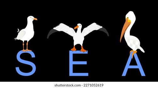Sea birds vector illustration isolated on black background. Fish hunter company. Marine wildlife animals on island in ocean. Seagull, pelican, gull, cormorant, albatross. Spread wings freedom. 