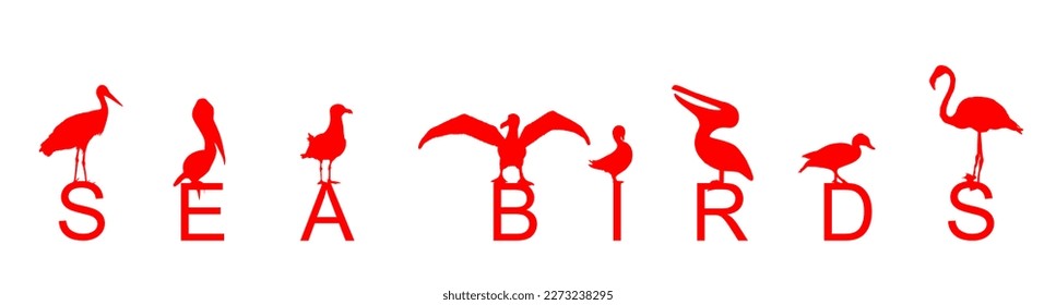 Sea birds vector silhouette illustration isolated on white background. Fish hunter company. Marine wildlife animals. Stork, pelican, gull, cormorant, albatross, duck, flamingos. Spread wings freedom. 