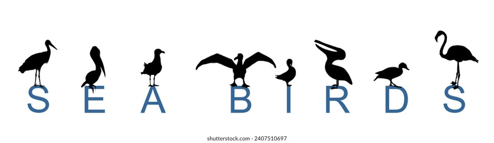 Ilustración de silueta vectorial de aves marinas aisladas en fondo blanco. Compañía de cazadores de peces. Animales marinos de vida salvaje. Cigüeña, pelícano, gaviota, cormorán, albatros, pato, flamencos. Propaga las alas de la libertad. 