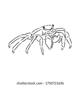 Sea blue striped illustration with crab, crab, vector sketch illustration