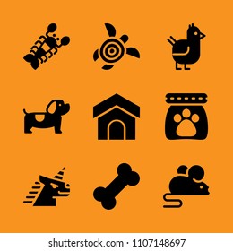sea, boiled, unicorn and delicacy icon set. Vector illustration for web and design.