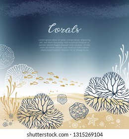 Sea bottom background with place for text. Design with lettering and a place for text with a coral background of corals and marine elements, hand-drawn.