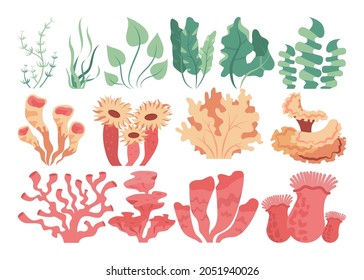 Sea bottom corals and seaweed set. Beautiful underwater world animals and plants. Tropical seascape nature. Flat vector illustration