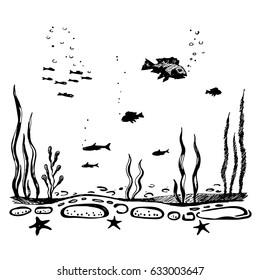 Sea bottom. The flora and fauna of the underwater world of the ocean. sketch vector.