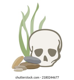 sea bottom  and human skull illustration