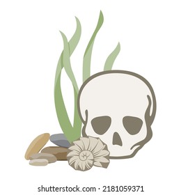 sea bottom  and human skull illustration