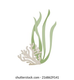 sea bottom illustration, grass and coral vector