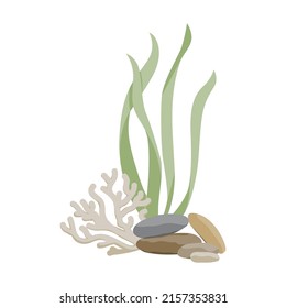 sea bottom illustration, grass, corals,  and pebbles vector