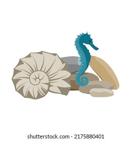 sea bottom  and seahorse illustration