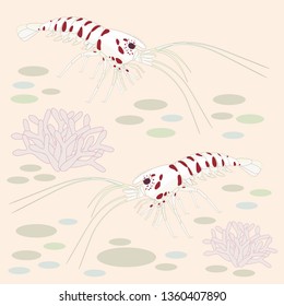 Sea bottom and shrimp vector