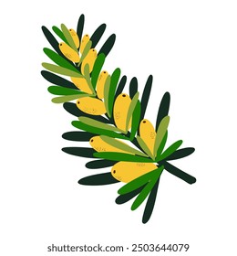 sea ​​buckthorn branch flat cartoon style vector