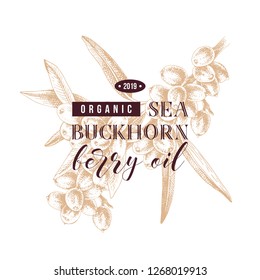 Sea buckhorn berry oil type design over hand drawn sea buckthorn branch. Vector illustration