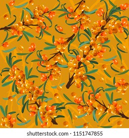 Sea buckthorn. Background Pattern Texture of Berry Seabuckthorn - stock vector
