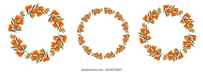 Sea buckthorn berry frame. Bright orange berries with green leaves forming a decorative border. Isolated on white background. Ideal for organic food packaging, Vector