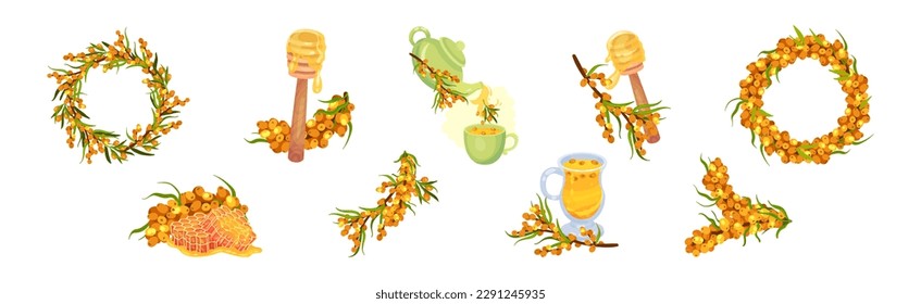 Sea Buckthorn Berry with Honey and Brewed Aromatic Tea Vector Set