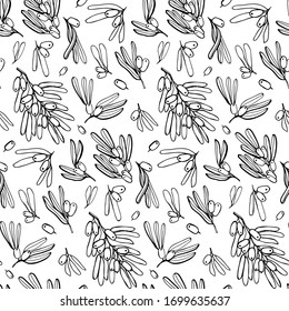 bayas de espina marina hojas de toro patrón de doodle gráficos dibujados a mano vectorial