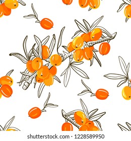 Sea buckthorn branch seamless pattern. Hand drawn berry illustration color and sketch. Sketch style. Elements for menu, greeting cards, wrapping paper, cosmetics packaging, posters etc