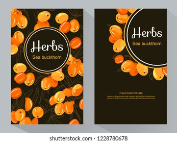  Sea buckthorn branch vector vertical banners, vector illustration, line art decorative rosehip for design cosmetic, natural medicine, herbal tea, food menu. 