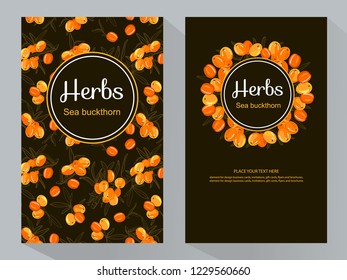 Sea buckthorn branch vertical banners, vector illustration, line art decorative rosehip for design cosmetic, natural medicine, herbal tea, food menu. 