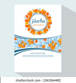 Sea buckthorn branch vertical banners, vector illustration, line art decorative rosehip for design cosmetic, natural medicine, herbal tea, food menu.