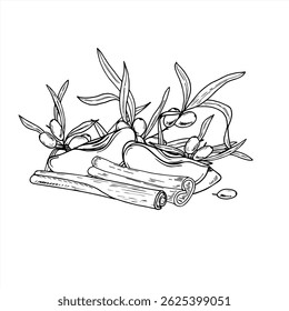 Sea buckthorn branches, cinnamon sticks and apple slices vector composition in minimalist black and white style. Autumn harvest illustration for bakery packaging, seasonal cafe menus, product label.