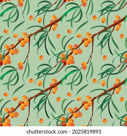 sea buckthorn branches, pattern on a green background