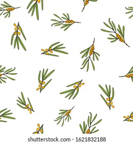 Sea buckthorn branches seamless pattern. Floral vector illustration.