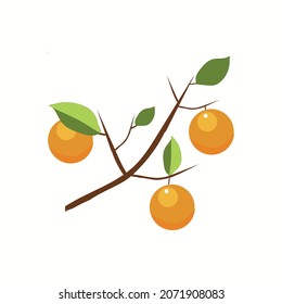 Sea Buckthorn flat icon isolated on white background. Vector illustration