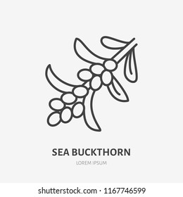 Sea buckthorn flat line icon, medical herb sign, healthy food logo. Berry illustration for natiral food store.