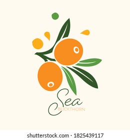 Sea buckthorn. Fresh ripe berries with leaves isolated on white background.