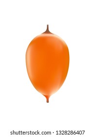 Sea Buckthorn - High Resolution Vector