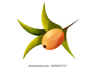 sea buckthorn with leaves in cartoon style, orange vitamine health berry on branch isolated on white background.
