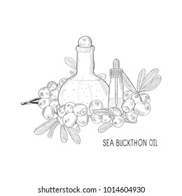 Sea buckthorn. Oil. Berries, a bottle, vial. Sketch. Monochrome