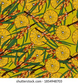 Sea buckthorn and orange sprigs background. Botanical medicinal plant. Sea buckthorn for tea, small yellow berries. For wallpaper, banners, coloring, design paper, packaging. Isolate, stock art