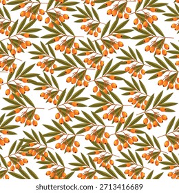 Patrón sin fisuras de espino cerval de mar. Clipart de Vector plano, ilustración con fondo aislado.