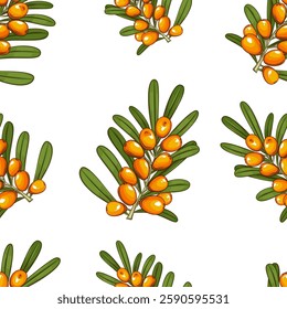 Sea buckthorn seamless pattern. Organic background. Organic food concept. Sea buckthorn pattern for fabric, packaging, organic shops. Hand Drawn vector illustration