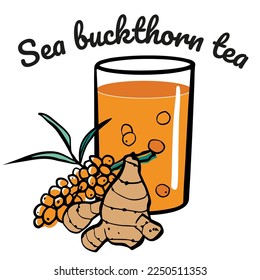 Sea buckthorn tea, Christmas bar menu. Hot tea season drink with a glass of drink and hand drawn ingredients vector illustration.