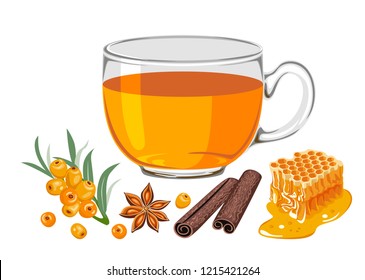 Sea buckthorn tea in glass cup isolated on white background. Sea buckthorn berries, honey combs, star anise, cinnamon sticks. Vector illustration of hot drink in flat simple cartoon style.