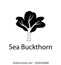 sea buckthorn tree illustration. Element of plant icon for mobile concept and web apps. Detailed sea buckthorn tree illustration can be used for web and mobile on white background