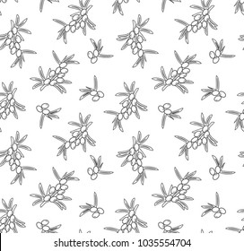 Sea buckthorn twig vector seamless pattern. Beautiful food design elements, ink drawing