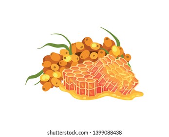 Sea buckthorn and two pieces of honeycombs. Vector illustration on white background.