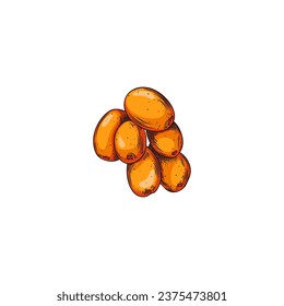 Sea buckthorn vector drawing. Fresh orange berries bunch on white background. Summer fruit hand drawn illustration. Natural vegetarian food, healthy vitamin herb