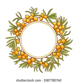 sea buckthorn vector frame