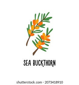 The sea buckthorn vector icon is isolated on a white background. Flat modern flat illustration.