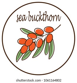 Sea buckthorn vector icon on white background