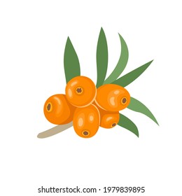 Seeborn-Vektorsymbol. Orangefarbene Beeren einzeln auf weißem Hintergrund. Cartoon-Flachbild-Illustration.