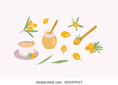 Sea Buckthorn Vector Illustration set. Collection of sea buckthorn tea, berries,  leaves, jam, branch, spoon